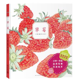 小学一年级自然观察优选绘本:草莓(精装绘本) [日]荒井真纪著,海豚