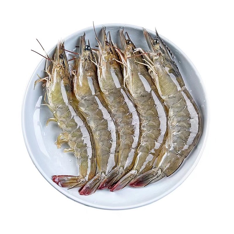 海蕴极鲜【活鲜】白虾 海白虾鲜活新鲜明虾大虾生鲜海鲜水产活虾 1500