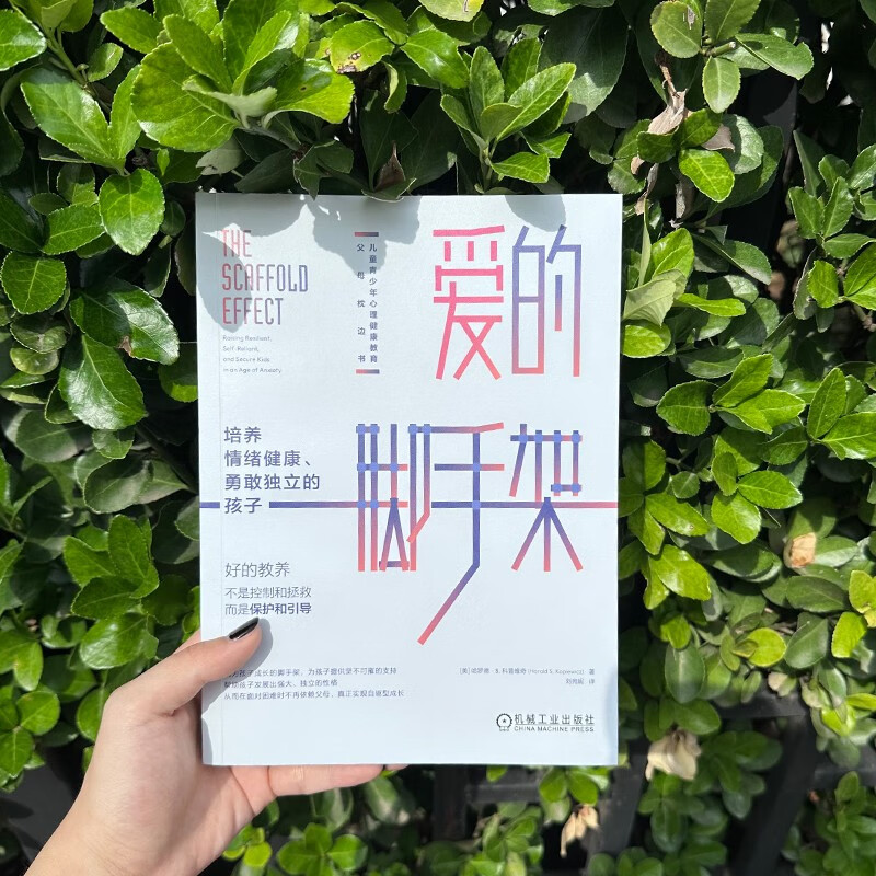 爱的脚手架：培养情绪健康、勇敢独立的孩子详情图