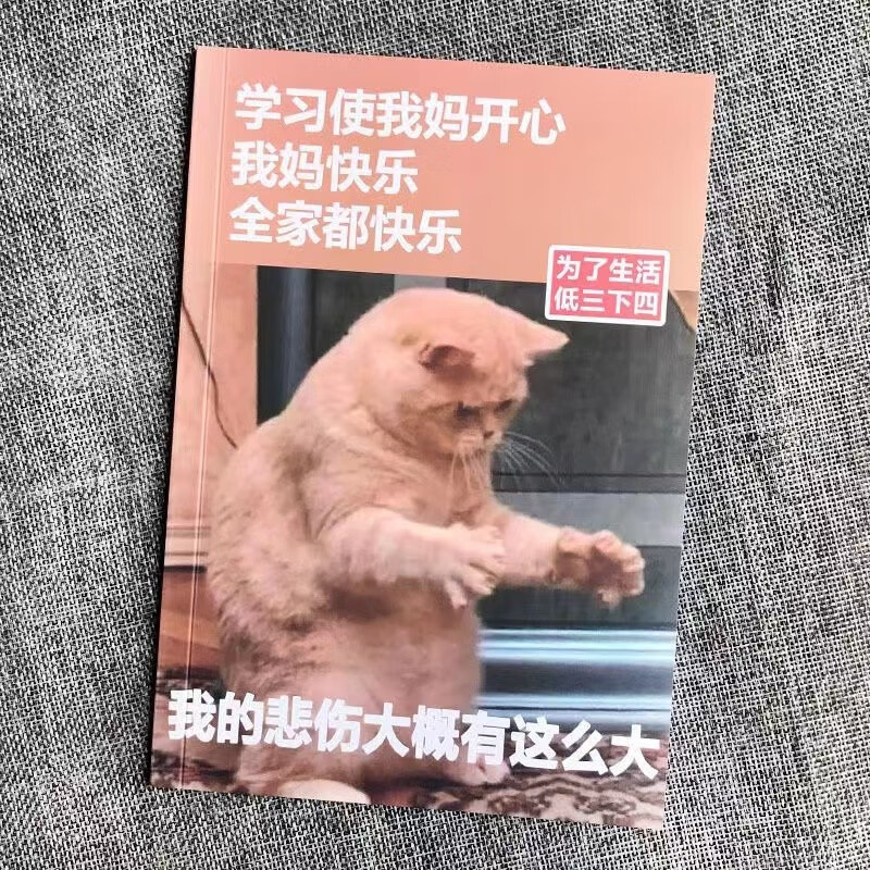 搞怪笔记本a5学生笔记本练习本作业本恶搞记事本ins创意本子整蛊同学