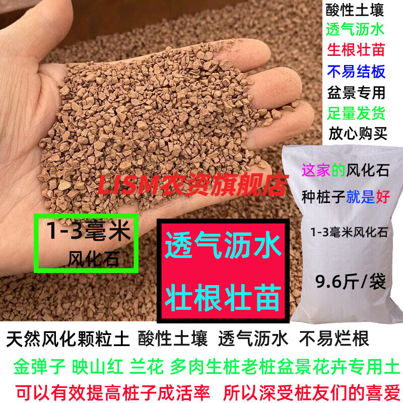 lism风化土风化石弹子黑松黄荆紫薇荀子金豆腊梅兰花多肉山茶茉莉盆栽