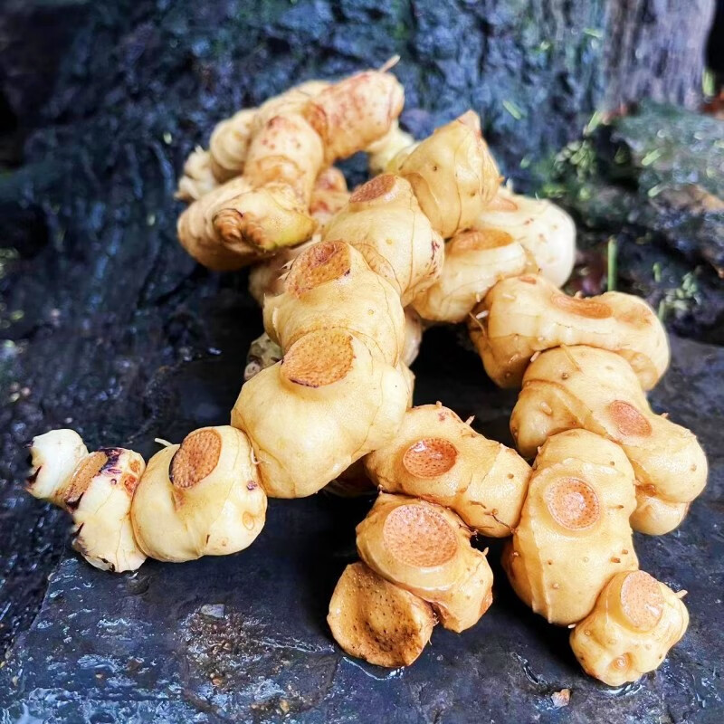 湖南雪峰深山新鲜黄精老虎姜九晒九蒸可食用煲汤滋补泡酒中药材 新鲜