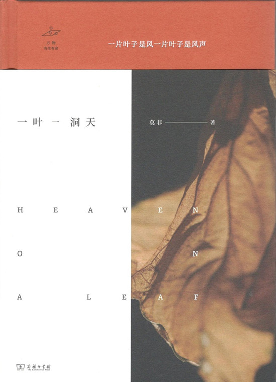 一叶一洞天(万物有生有命)