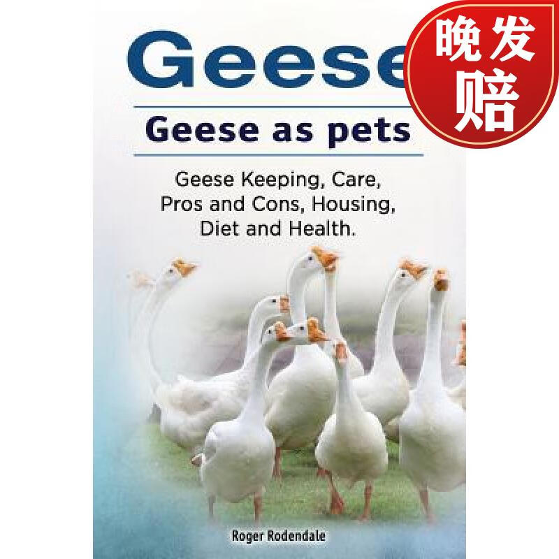 【4周达】geese geese as pets geese keeping, care, pros and cons
