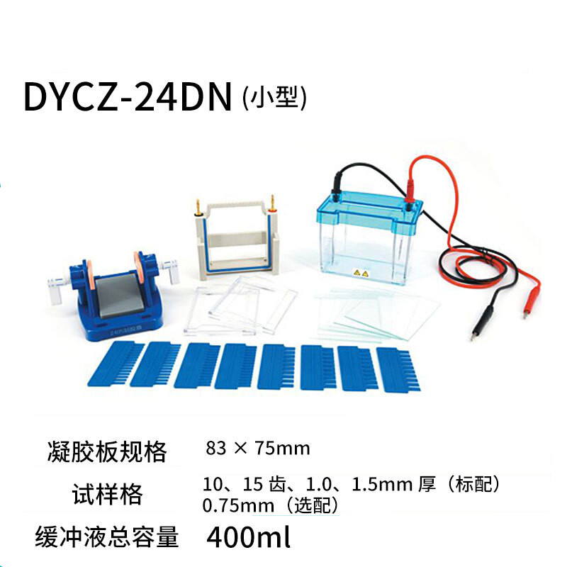 千惠侬定制/30C/24DH/DN双板垂直电泳仪蛋白电泳槽实验室 DYCZ-24DN 不含票