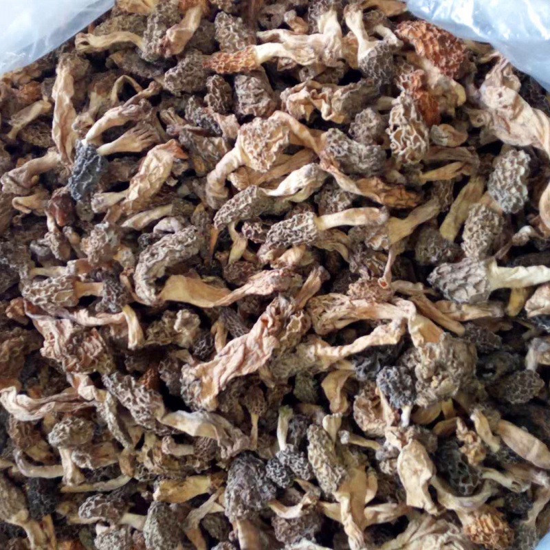 虎钢馋野生羊肚菌干货西藏山货高原山珍特产煲汤食用菌羊肚菌菇羊蘑