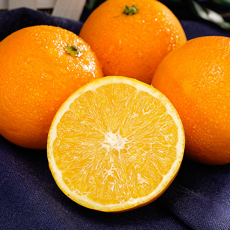 秭归夏橙现摘新鲜水果当季橙子甜橙爆汁橙子 5斤中小果