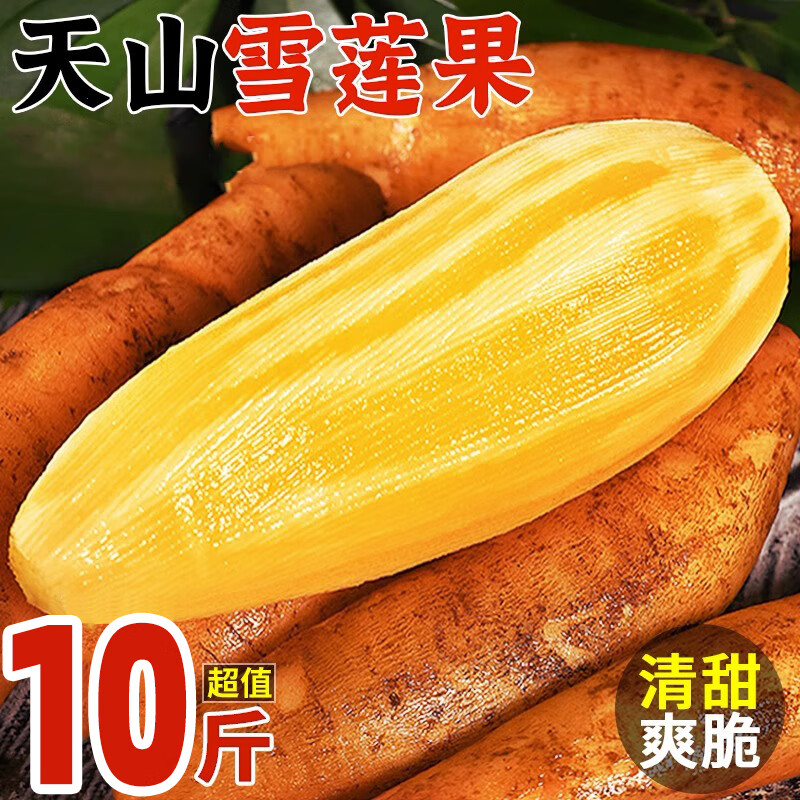 菲农云南天山雪莲果 精品10斤装 高原特产 新鲜水果