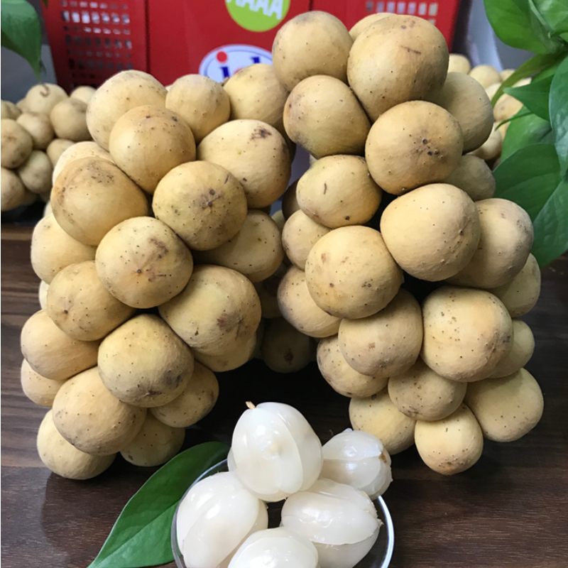 独爱(duar)泰国进口龙宫果新鲜泰国枇杷椰色果龙贡果时令水果 2斤