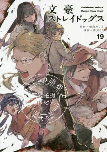 现货 进口日文 漫画 文豪野犬 文豪ストレイドッグス 19