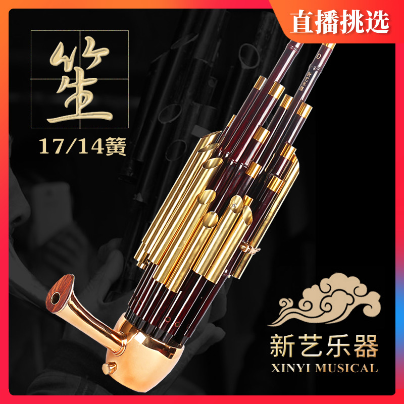 新藝17簧14簧擴音笙樂器大全圓笙方笙修笙工具竽樂器笙包初學者 【下單請備注調(diào)門】