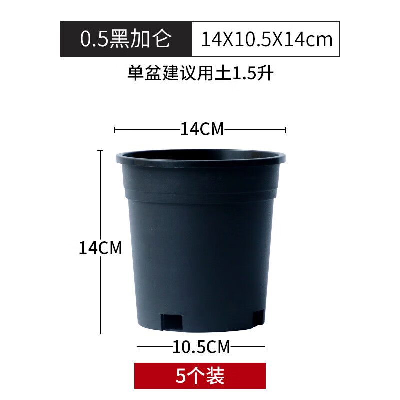5黑加仑5个 塑料 x 中等