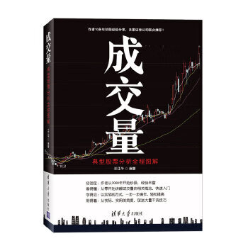 成交量:典型股票分析全程图解【正版图书】