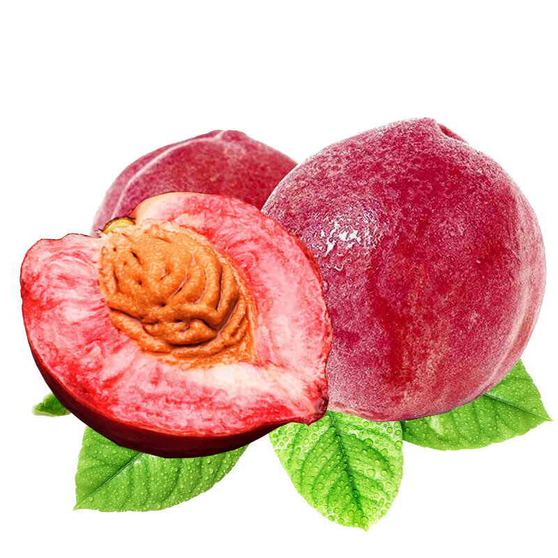 ������Դͩ����ɰ��Ѫ�� �������� ����ˮ�� 5�ﵥ��70-90g