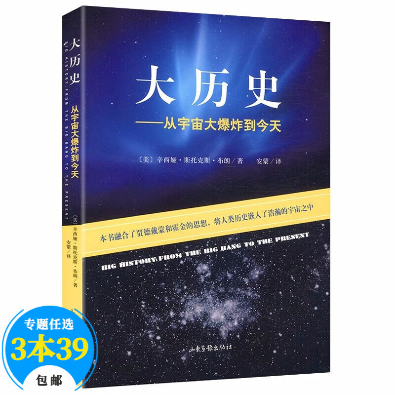 天文航天科普读物太阳系简史太阳全书千亿个太阳漫步太阳系度假指南140亿年宇宙演化全史漫步到宇宙尽头 大历史--从宇宙大爆炸到今天（定价38元）