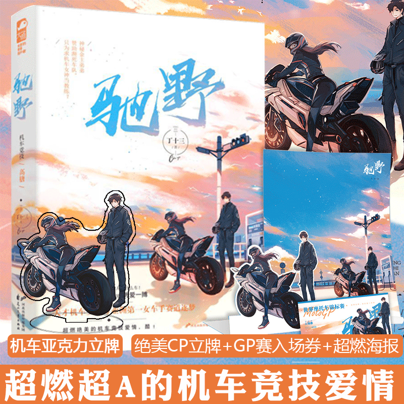 正版【赠双人立牌+海报等】驰野 丁十三 赛道竞技爱情青春文学言情 机车竞技 都市甜宠小说