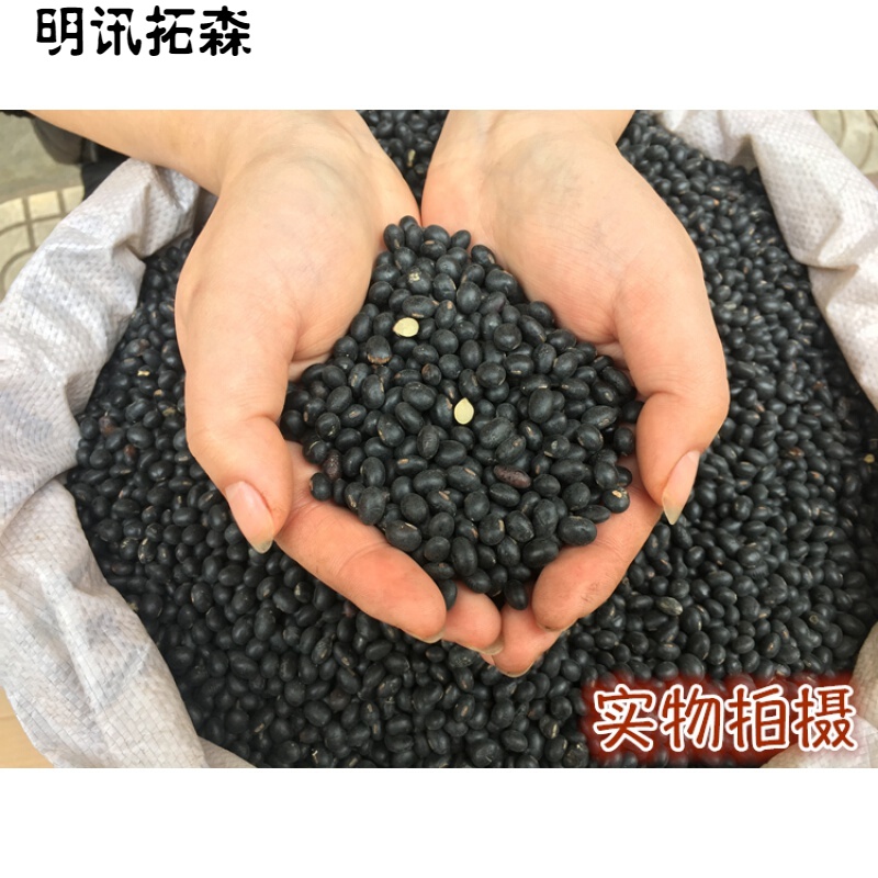 维霆农家自种原始老品种肾形黄芯黑豆黄心黑小豆雄黑豆黄豆500g装