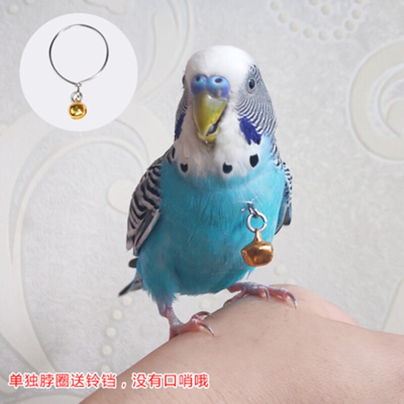 兰衍 鸟脖套 鸟用脖链不锈钢脖圈虎皮牡丹伯劳八哥脖圈 玄凤鹦鹉脖套