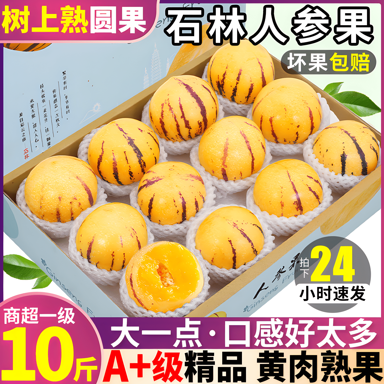 鲸咚亿农云南人参果圆果新鲜当季水果长寿果人生果树上熟黄肉圆果 净重5斤宝宝果【单果20-40g】