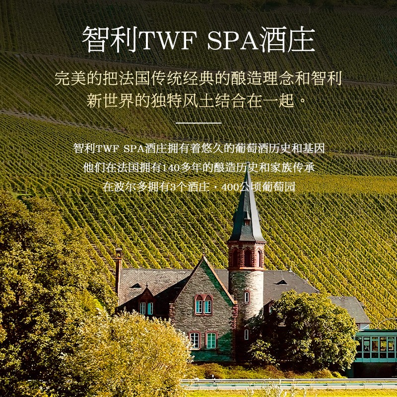 凡登尼【国际金奖/买1赠1箱】智利原瓶进口红酒整箱干红葡萄酒送礼盒装 【老藤13.5度】2箱共12瓶