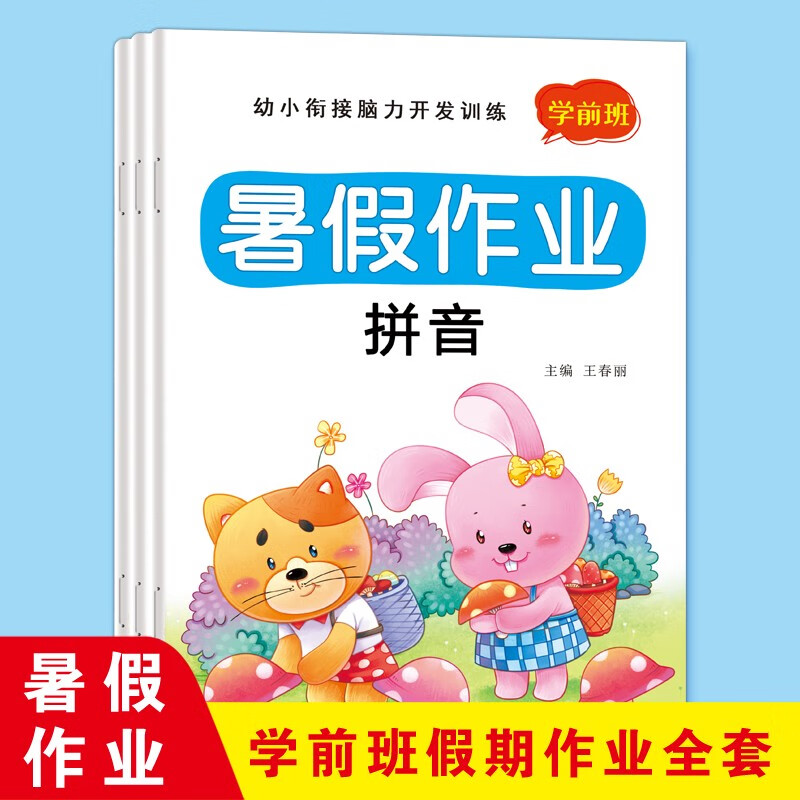 幼小衔接暑假作业学前班拼音数学语文教材全套练习册幼升小衔接班专项综合训练脑力开发练习题幼儿园大班入学准备每日一练大练习本 （语言+数学+拼音）全3册-学前班