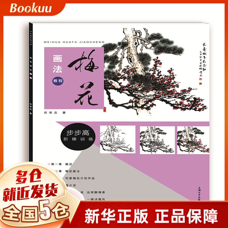 梅花画法教程/步步高阶梯训练