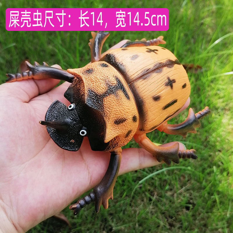 仿真昆虫爬行动物模型玩具早教认识自然科学过家家吓人礼物 屎壳虫