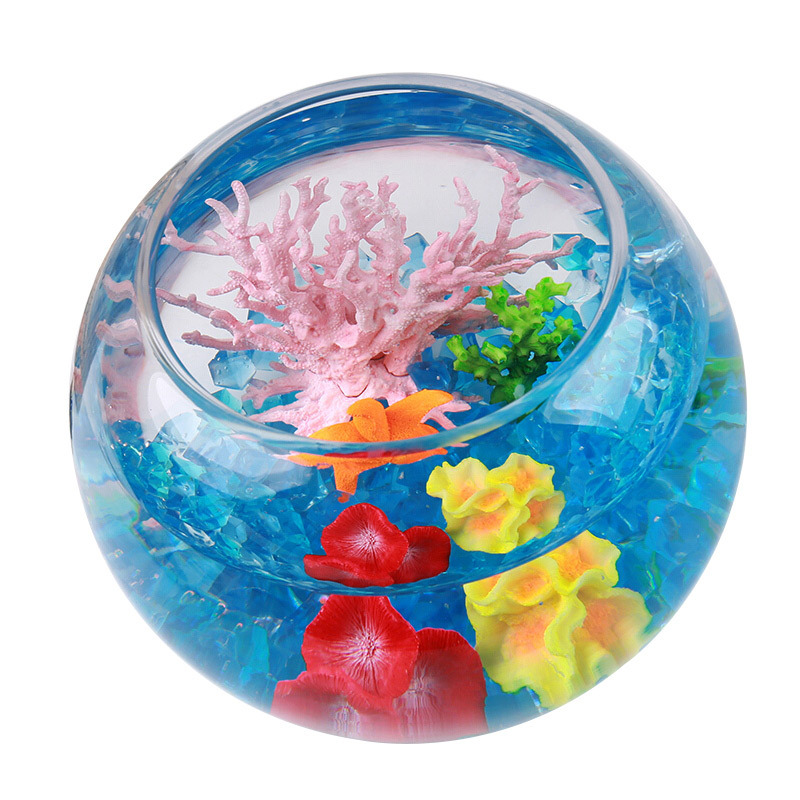 鱼麒麟玻璃圆鱼缸20cm怎么样？体验后讲实情内幕？