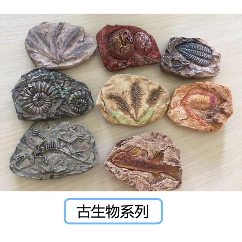 匹诺考古古生物化石挖掘玩具diy菊石三叶虫恐龙蛋模型标本 8个古生物