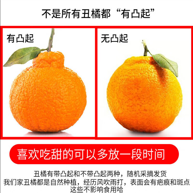 果迎鲜丑橘 新鲜水果 丑橘 柑橘桔子 酸甜 4.5斤装70-75mm