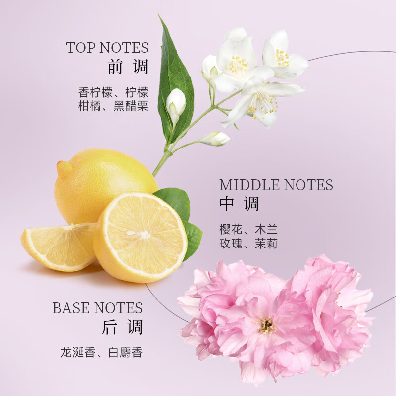 丽塔斯特（la taste)去屑柔顺花本香氛洗发乳 去屑洗发水留香洗发露男女 500g