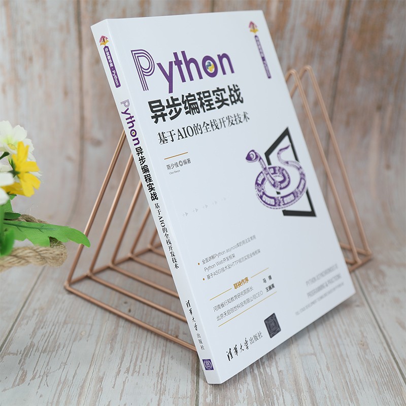 Python异步编程实战:基于AIO的全栈开发技术/清华开发者书库详情图