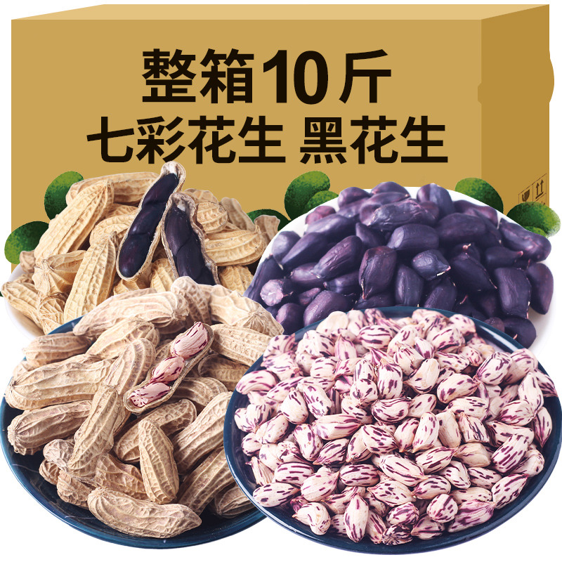 jussmini 云南七彩花生米新货晒干带壳生的熟黑花生五彩花生七彩花生