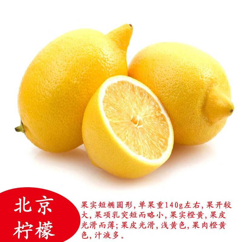 wmo香水柠檬树苗盆栽带果室内室外结果无籽四季柠檬苗食用柠檬树果苗