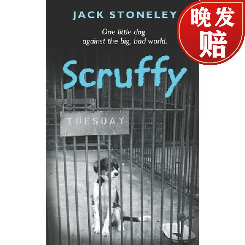 【4周达】scruffy: the tuesday dog