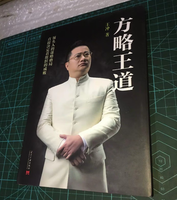 新书方略王道王冲9787515408330 当代中国 企业管理运营使用感如何?
