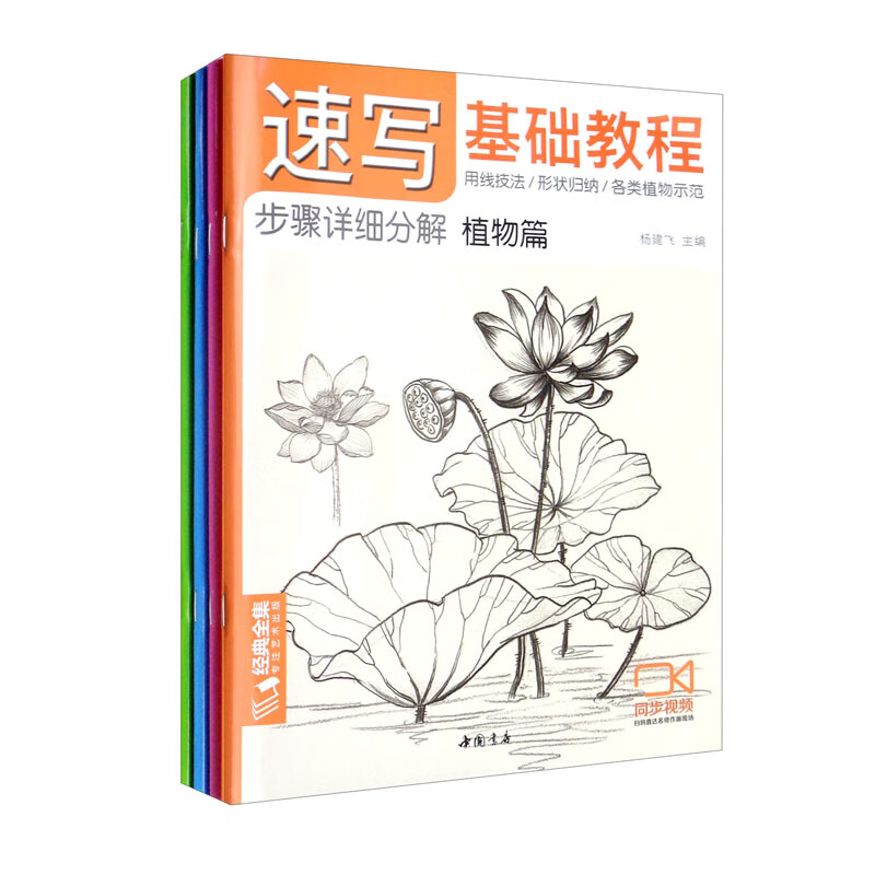速写基础教程