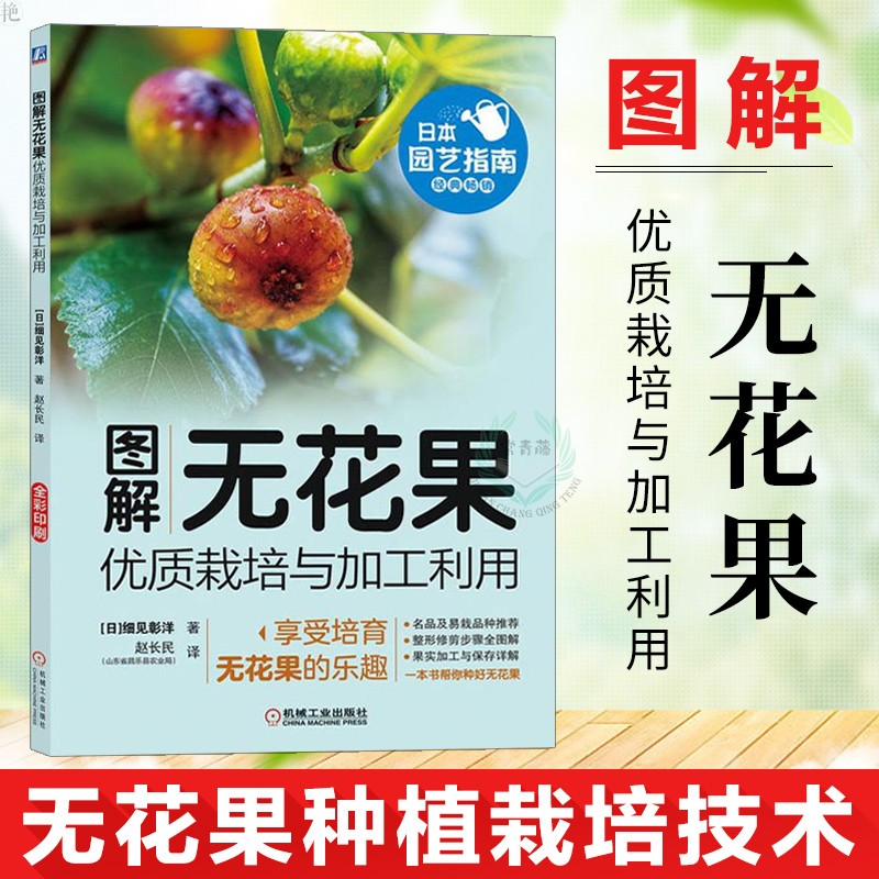 图解无花果优质栽培与加工利用 无花果种植栽培技术书籍 无花果栽培