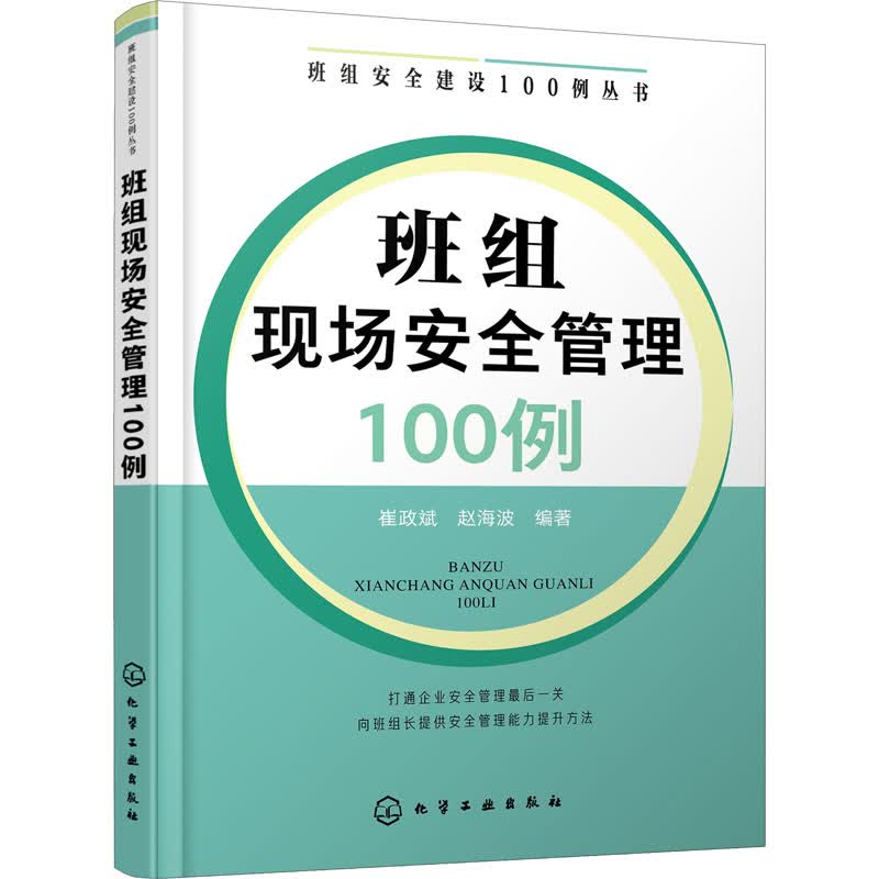 班组现场安全管理100例 图书
