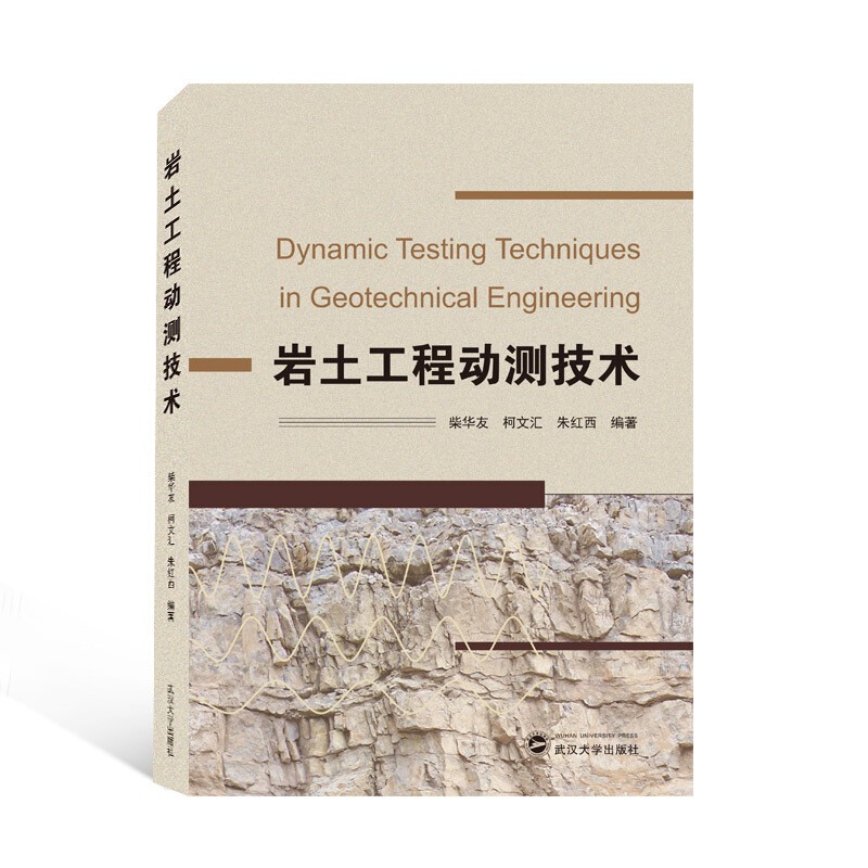 正版 岩土工程动测技术 武汉大学出版社