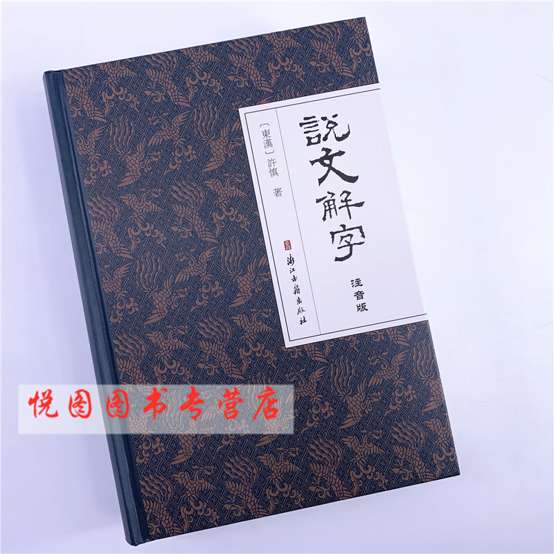 说文解字(注音版) 字头放大拼音检字集合重文利于对比研究工具书 古代汉语字典 国学经典说文解字
