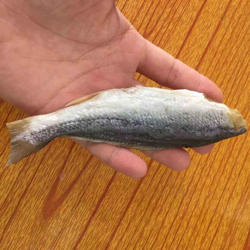 5折 台山特产 广海咸鱼 野生三牙鱼 三齿鱼 小或鱼 渔家生晒 海产干货