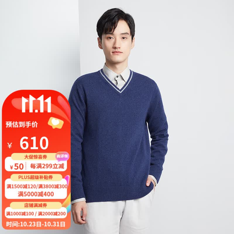 雪莲秋冬新款v领山羊绒羊绒衫鸡心领时尚休闲保暖男士 L313 125怎么样,好用不?