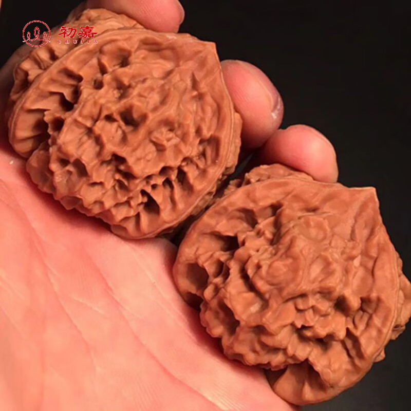 初嘉 精品文玩核桃 47野生珊瑚文狮子头把玩收藏礼物