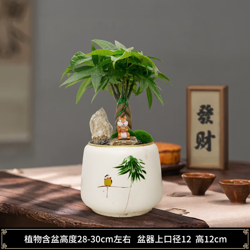 Only youСʱ辰ڰ칫ֲҵ ӷB