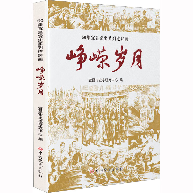 峥嵘岁月 图书