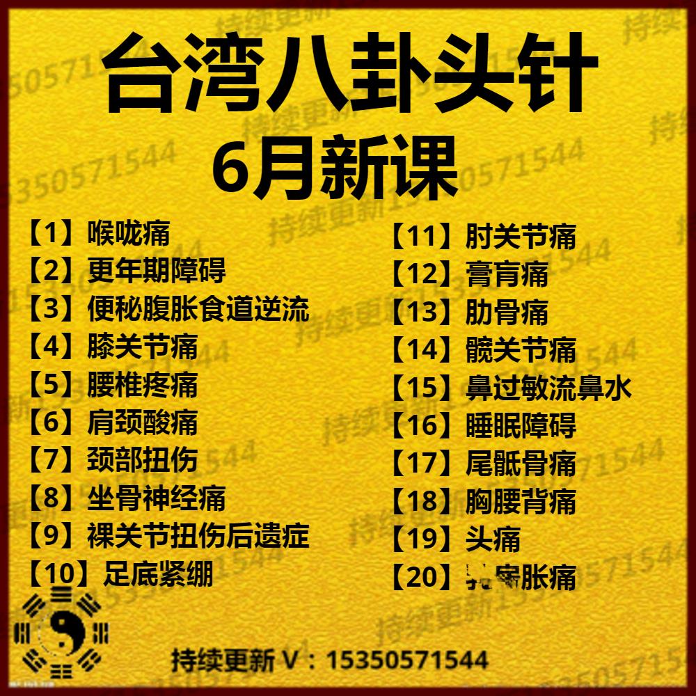 中医头针宋文靖八卦头针199精品系列课中医好课全30讲针灸好课 全集