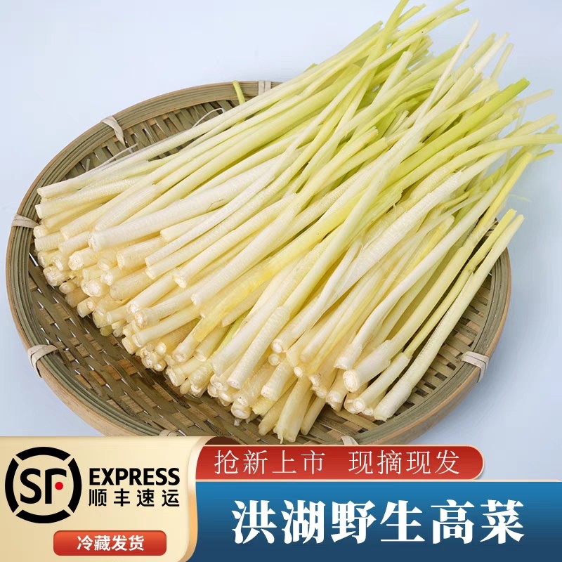 r)新鲜洪湖逸家清鲜蒿菜湖北特产篙菜蒲笋野茭白草心芦高菜非蒲儿菜 3