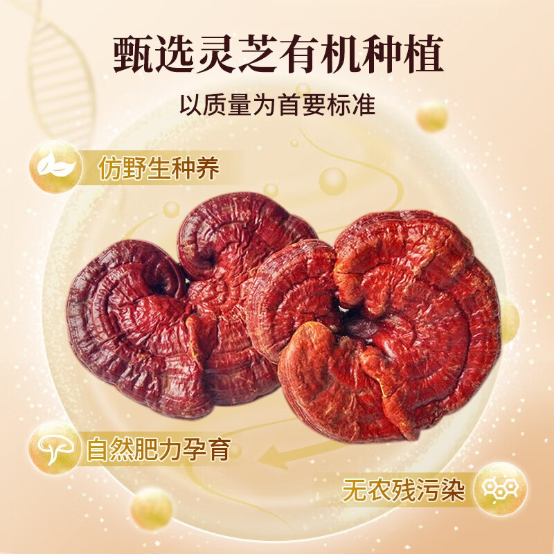 李良济破壁灵芝孢子粉有机种植孢子油胶囊调节免疫中老年滋补术后营养品 【一盒装】1g*30袋(到手50g)-25天量