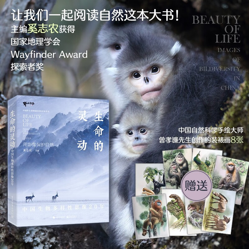 【定制版】生命的灵动：中国生物多样性影像20年（附赠8张装裱画）